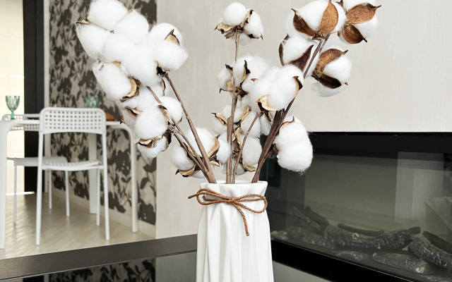 Апартаменты Династия