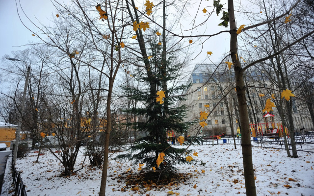 Квартира Мемориальная сталинка в центре Петербурга