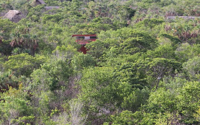 Ночлег и завтрак Palmento Grove Garifuna Eco Cultural and Fishing Institute