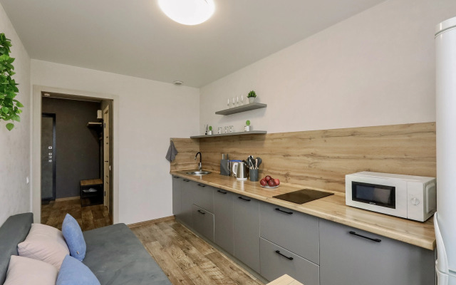 1 komnatnaya kvartira na prospekte Kalashnikova Apartments