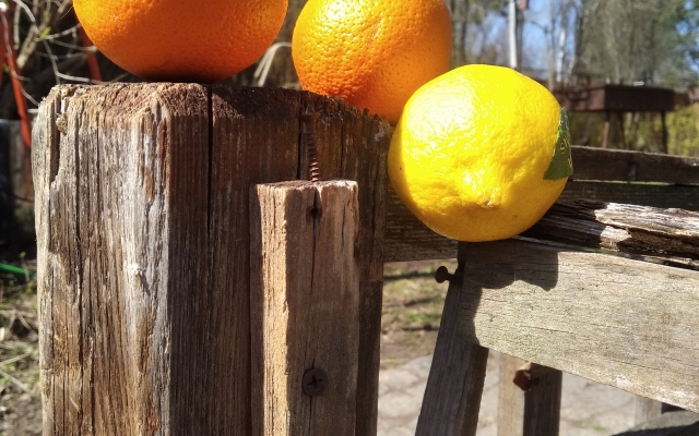 "Vinnaya Derevnya" Glamping