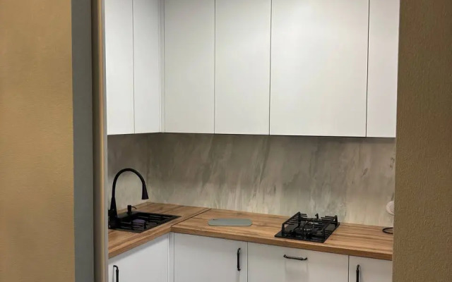 Апартаменты Атмосферные с балконом в историческом центре Бреста