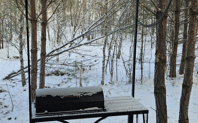 Частный дом Гостевой дом Филин