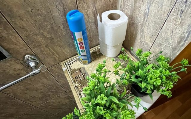 Апартаменты 2-комнатные в Центре Города на улице Ленина