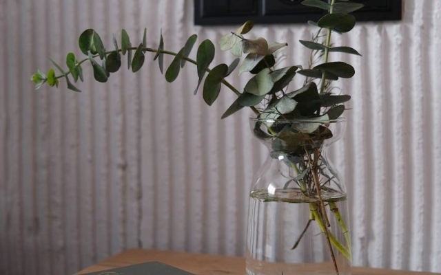 Апартаменты Терракотовая Студия