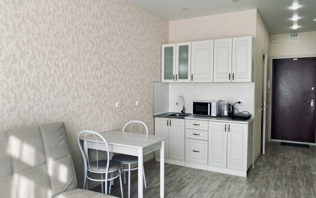 Unique Apart Latte u GUFSIN i Kaznacheystva na Michurina 58/3 Apartment