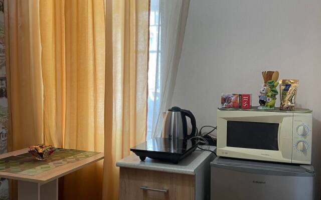 Квартира в историческом центре города