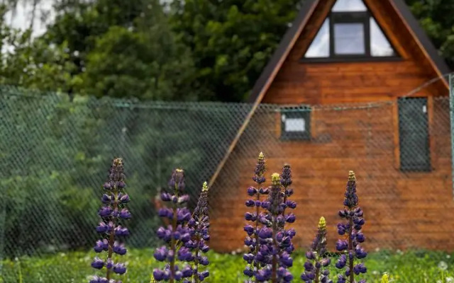 Lisichkin dom Private home