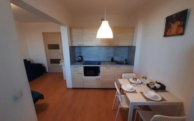 Studiya U Ladozhskogo Vokzala Flat