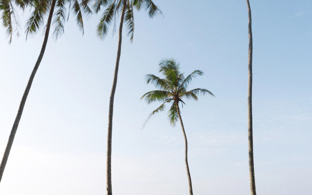 Отель Radisson Collection Resort Galle