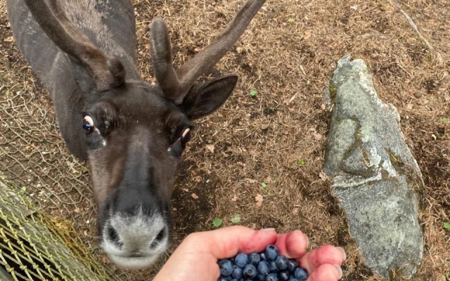 База отдыха Лопский берег