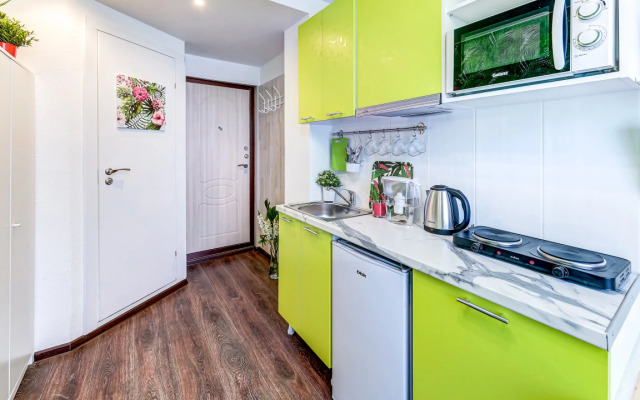 Апартаменты 1 рядом с метро Елизаровская (ОО1)