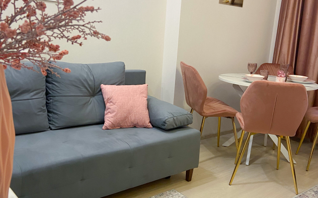 Студия на улице Мечникова 41/53