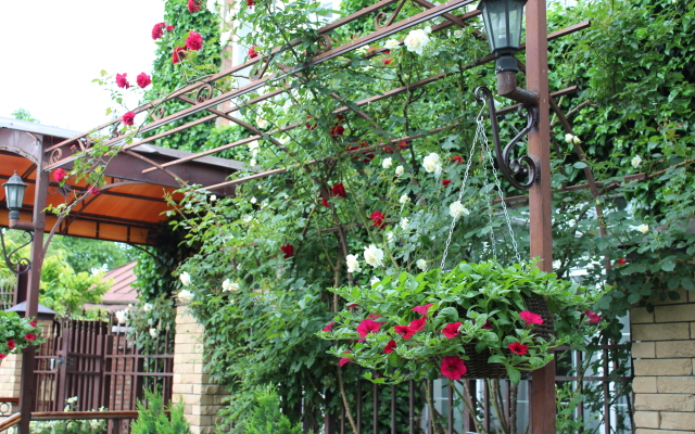 U Druzej Guest House