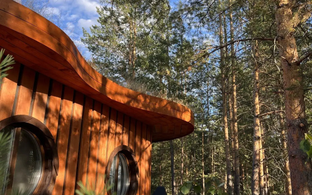 Отель Сорока