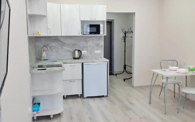 Studiya na Karamzina Flat