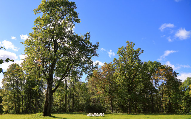 Гостевой Дом Дворец Елизаветино