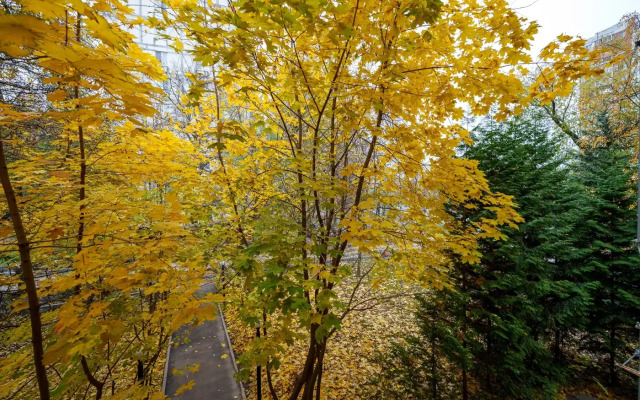 Апартаменты 4 Комфортно И Точка на Симферопольском бульваре 16к1