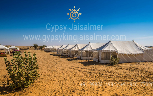 Gypsy King Desert Safari Camps & Resort Apartments