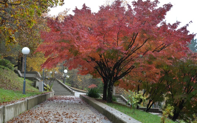 Отель Оздоровительный комплекс Дагомыc (корпус Главный)