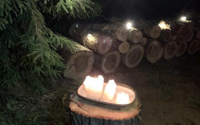 Частный дом Шелест 1