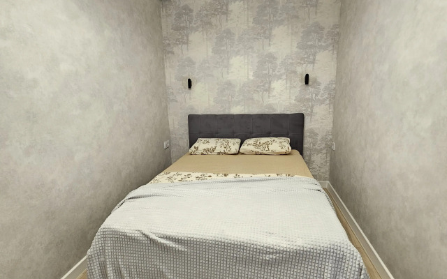 Апартаменты двухкомнатные на Энгельса