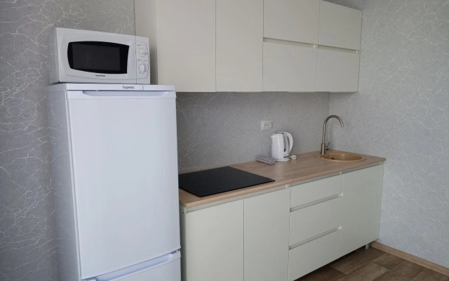 Uyutnaya kvartira v rayone aeroporta Apartments