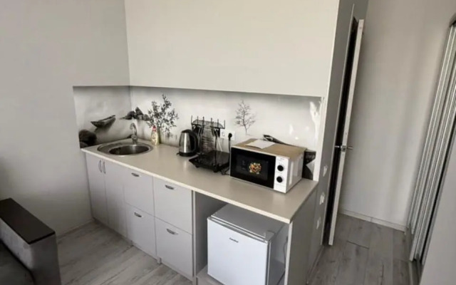 Апартаменты Четырехместная студия в Сириусе