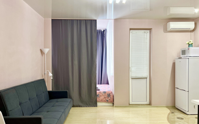 Квартира Студия Большая в Центре Фмр