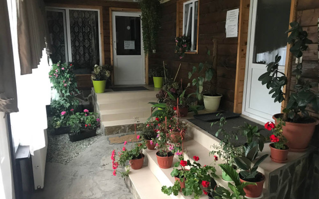 Piknik Gorki Guest House
