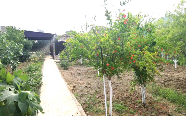 Вилла Дача на Берегу Моря