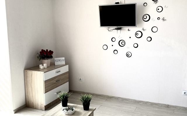 Evro Studiya v Rayone Parka Galitskogo Apartments