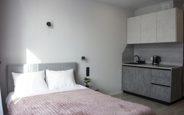 Tsentr Oktyabryskogo Rayona Apartments