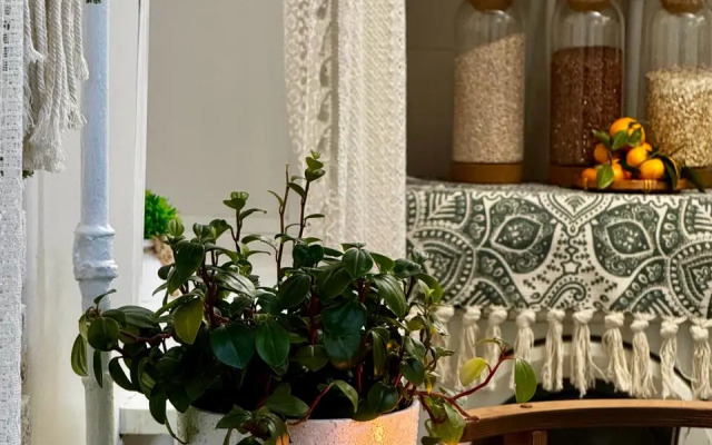 Апартаменты В центре города