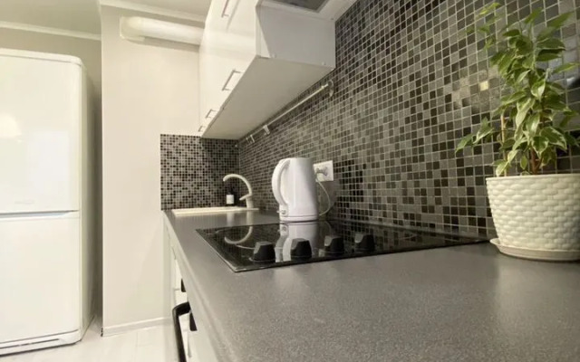 Квартира на Чкалова 65 (2/11)