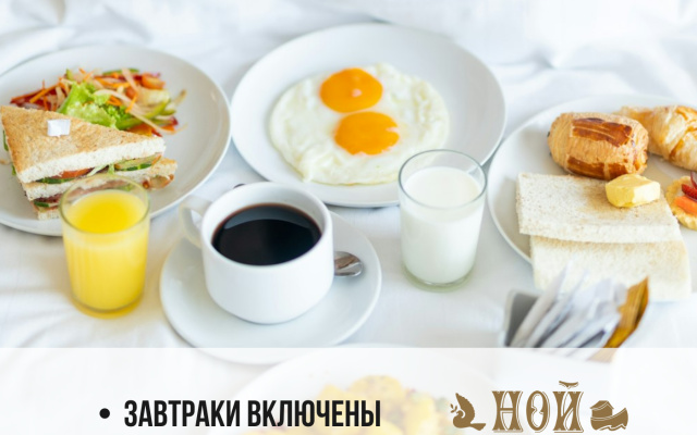 Отель Ной