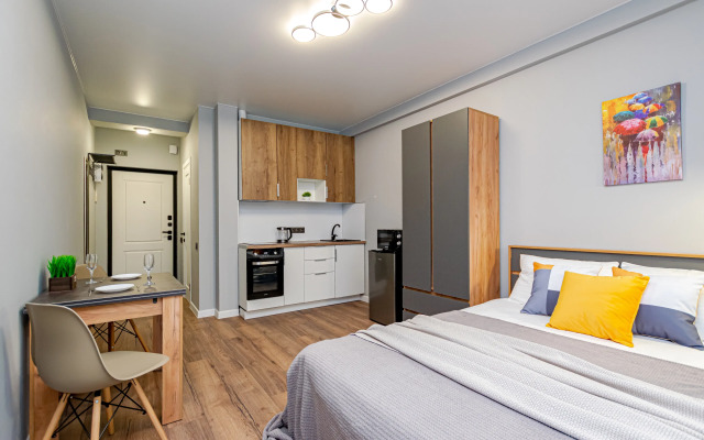 Uyutnaya Sovremennaya Studiya U Tsirka Flat