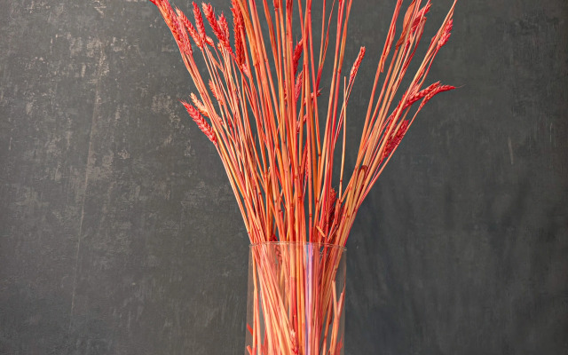 Квартира Евродвушка СИБИРЬ HOUSE напротив Лапландии