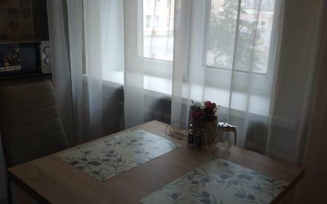 V Tsentre Apartments