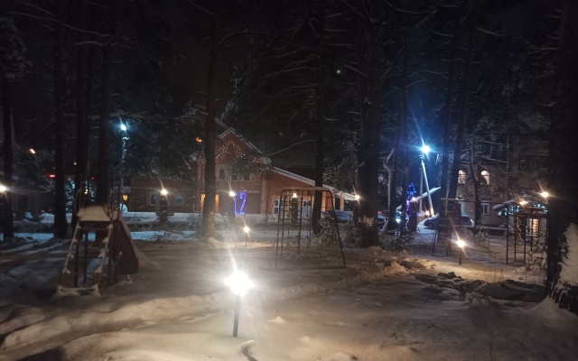 Sosnovaya Alleya V Dyadykino Guest House