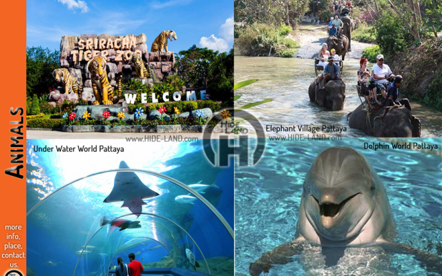 Hidelend - The Luxurious Tropical Villa - Pattaya Jomtien