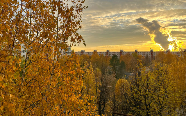 Апартаменты возле метро Домодедовская