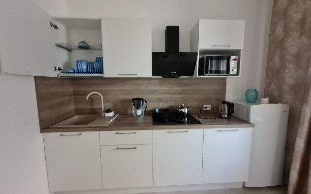 Квартира Уютная Квартира Между Парками на Удельной.