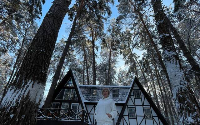 Shale Bunyrevskiy Treugolnik Chalet