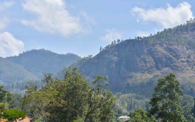 Yoho Hotel Thushara