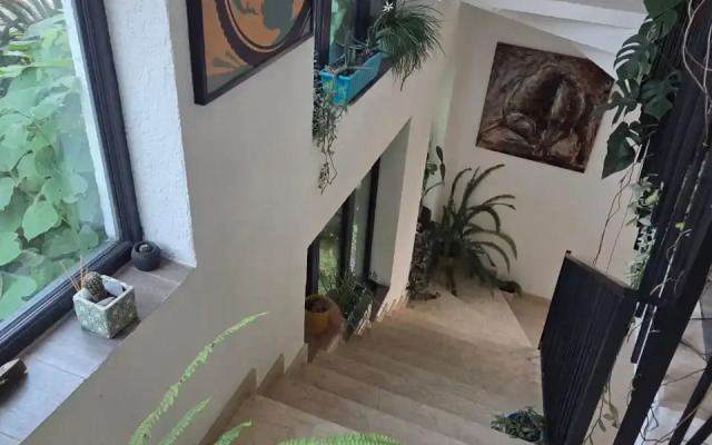 Отель TJ GARDENS