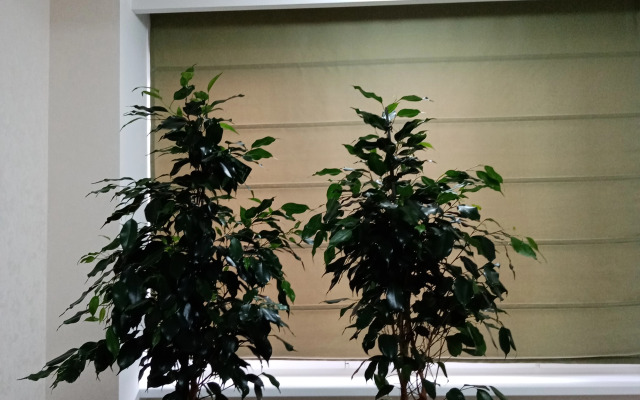 Апартаменты Птицы на Автозаводской