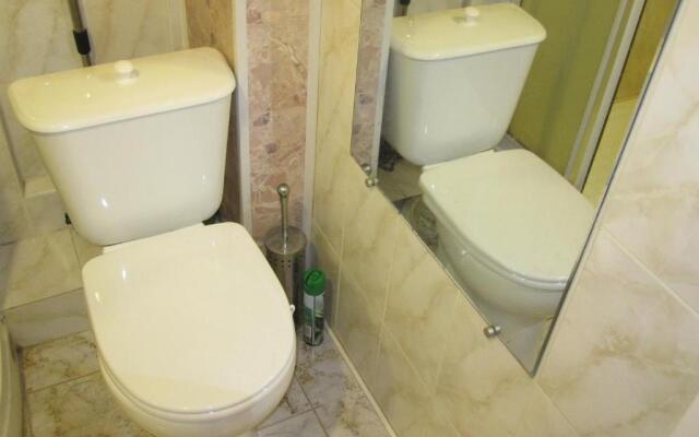 Апартаменты Pushkinskaya35