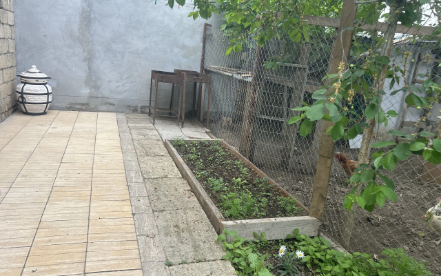 Dyuma 28 Guest house