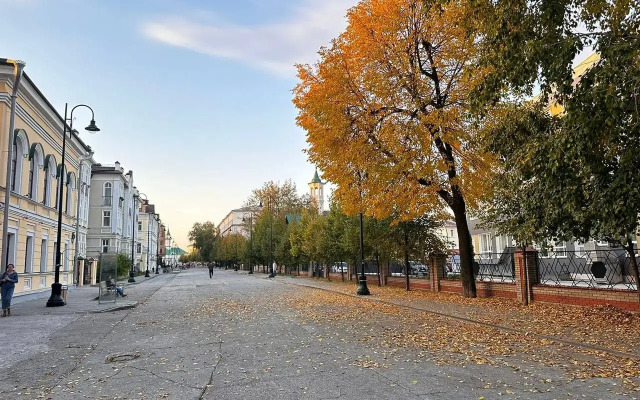 V Tsentre Goroda Flat